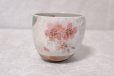 Photo4: Mino Japanese pottery yunomi tea cups set of 2 cherry blossoms w/wooden box