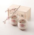 Photo2: Mino Japanese pottery yunomi tea cups set of 2 cherry blossoms w/wooden box (2)