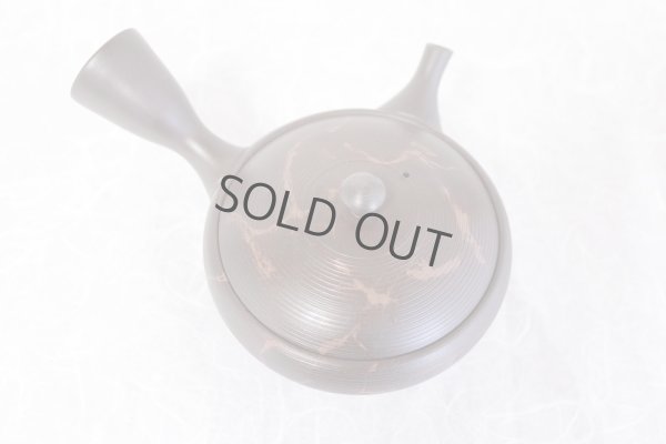 Photo4: Tokoname yaki ware Japanese tea pot Gyokko kamahen ceramic tea strainear 140ml