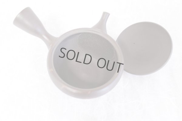 Photo5: Tokoname yaki ware Japanese tea pot Gyokko kamahen ceramic tea strainear 140ml