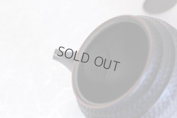 Photo9: Tokoname ware Japanese tea pot kyusu ceramic strainer sendan Gyokko 470ml