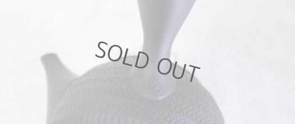 Photo11: Tokoname ware Japanese tea pot kyusu ceramic strainer sendan Gyokko 470ml