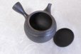 Photo10: Tokoname ware Japanese tea pot kyusu ceramic strainer sendan Gyokko 470ml