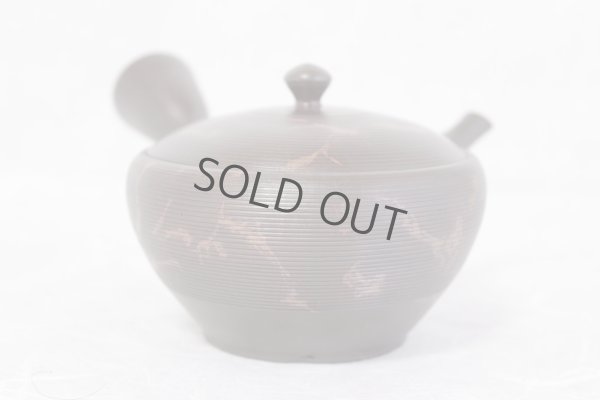 Photo7: Tokoname yaki ware Japanese tea pot Gyokko kamahen ceramic tea strainear 140ml