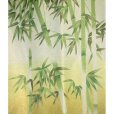 Photo2: Kyoto Noren MS Japanese door curtain Takebayashi Banboos green 85 x 150cm (2)