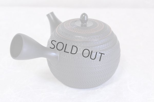 Photo2: Tokoname ware Japanese tea pot kyusu ceramic strainer sendan Gyokko 470ml