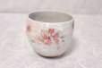 Photo7: Mino Japanese pottery yunomi tea cups set of 2 cherry blossoms w/wooden box (7)