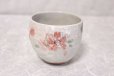 Photo7: Mino Japanese pottery yunomi tea cups set of 2 cherry blossoms w/wooden box