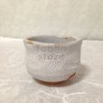 Photo5: Mino ware Japanese pottery matcha chawan tea bowl toga miyako noten