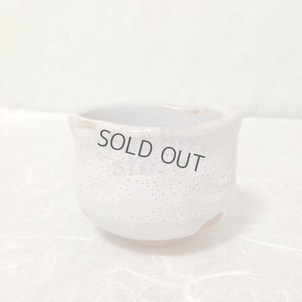 Photo5: Mino ware Japanese pottery matcha chawan tea bowl toga miyako noten