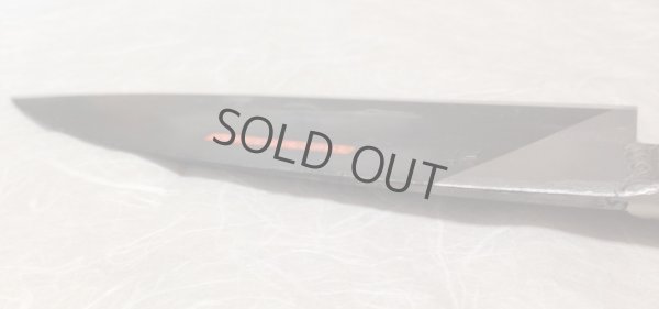 Photo7: Takemitsu Kurouchi Deba Japanese knife full blade rorming Brieto-M11 pro anysize