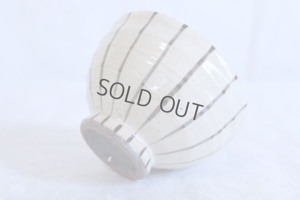 Photo3: Mino ware Japanese pottery matcha chawan tea bowl toga togusa dai noten