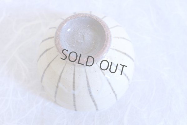 Photo7: Mino ware Japanese pottery matcha chawan tea bowl toga togusa dai noten