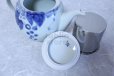 Photo8: Hasami Porcelain Japanese tea pot Kosen budo S type strainer 725ml