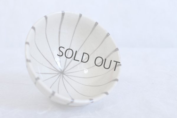 Photo4: Mino ware Japanese pottery matcha chawan tea bowl toga togusa dai noten