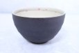 Photo5: Shigaraki pottery Japanese soup noodle serving bowl haruuta D135mm