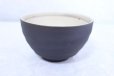 Photo4: Shigaraki pottery Japanese soup noodle serving bowl haruuta D135mm