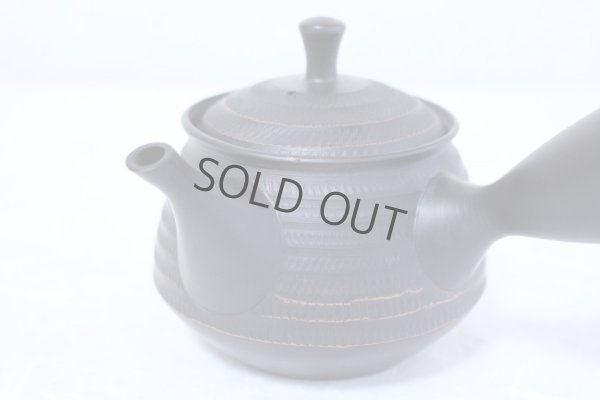 Photo3: Tokoname yaki ware Japanese tea pot Hokuryu ceramic tea strainer 260ml
