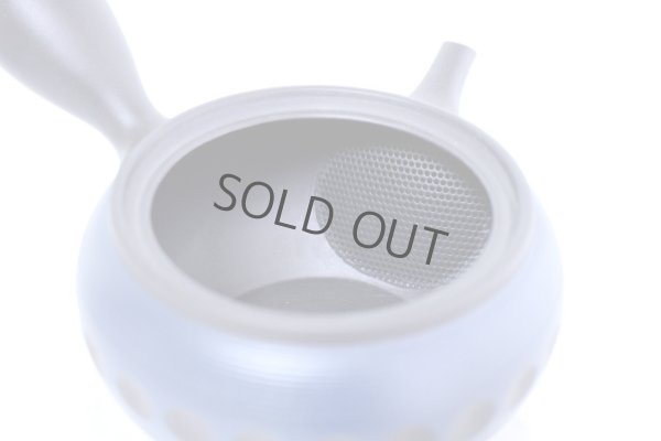 Photo4: Tokoname yaki ware Japanese tea pot Tosei navy-blue ceramic tea strainer 290ml
