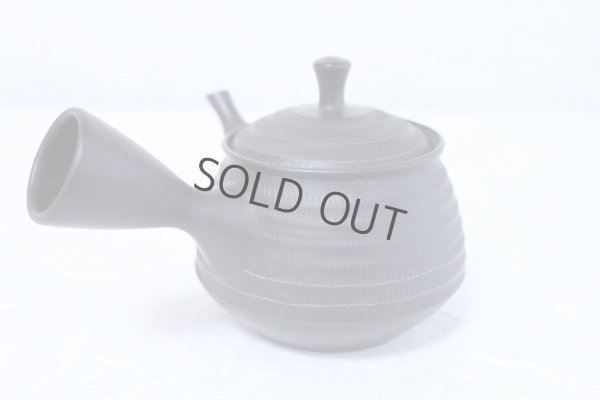 Photo2: Tokoname yaki ware Japanese tea pot Hokuryu ceramic tea strainer 260ml