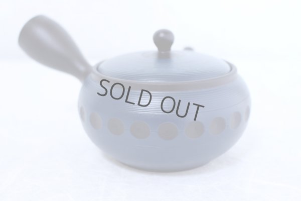 Photo1: Tokoname yaki ware Japanese tea pot Tosei navy-blue ceramic tea strainer 290ml