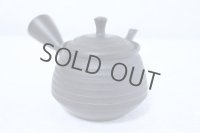 Tokoname yaki ware Japanese tea pot Hokuryu ceramic tea strainer 260ml
