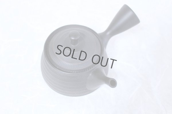 Photo5: Tokoname yaki ware Japanese tea pot Hokuryu ceramic tea strainer 260ml