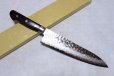 Photo2: SAKAI TAKAYUKI Japanese knife 17 hemmered Damascus-Layers VG10 core any type (2)