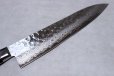 Photo7: SAKAI TAKAYUKI Japanese knife 17 hemmered Damascus-Layers VG10 core any type