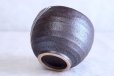 Photo5: Mino ware Japanese pottery matcha chawan tea bowl toga ryusei noten