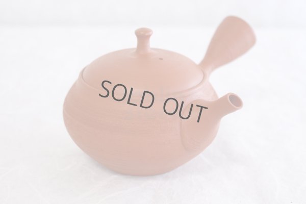 Photo5: Tokoname Japanese tea pot kyusu Shoryu ceramic tea strainear shin syudei 300ml