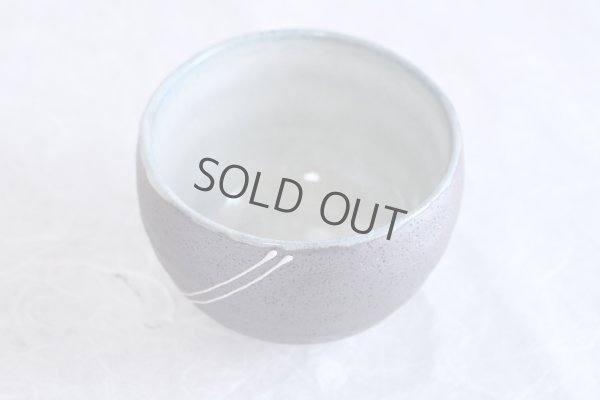 Photo9: Mino ware Japanese pottery matcha chawan tea bowl toga ryusei noten