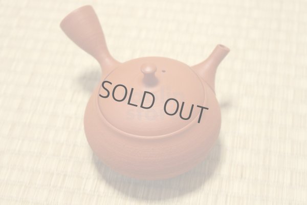 Photo1: Tokoname Japanese tea pot kyusu Shoryu ceramic tea strainear shin syudei 300ml