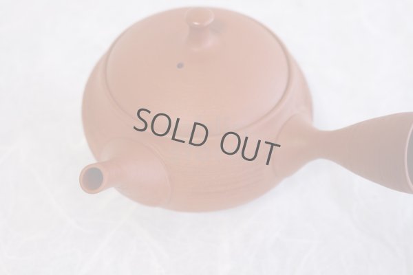 Photo9: Tokoname Japanese tea pot kyusu Shoryu ceramic tea strainear shin syudei 300ml