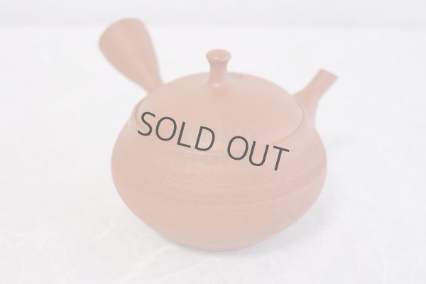 Photo4: Tokoname Japanese tea pot kyusu Shoryu ceramic tea strainear shin syudei 300ml