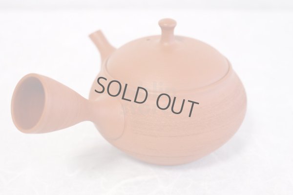 Photo3: Tokoname Japanese tea pot kyusu Shoryu ceramic tea strainear shin syudei 300ml