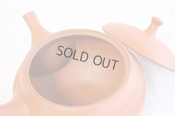 Photo6: Tokoname Japanese tea pot kyusu Shoryu ceramic tea strainear shin syudei 300ml