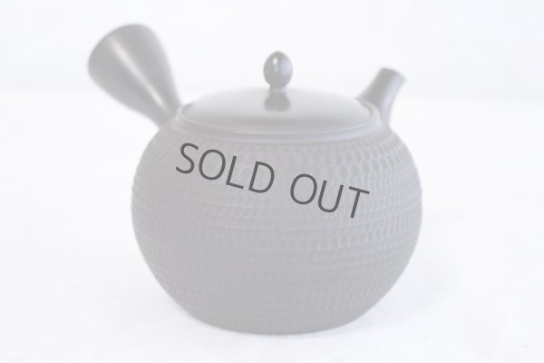 Photo4: Tokoname Japanese tea pot kyusu Gyokko pottery tea strainer black dei ma 300ml