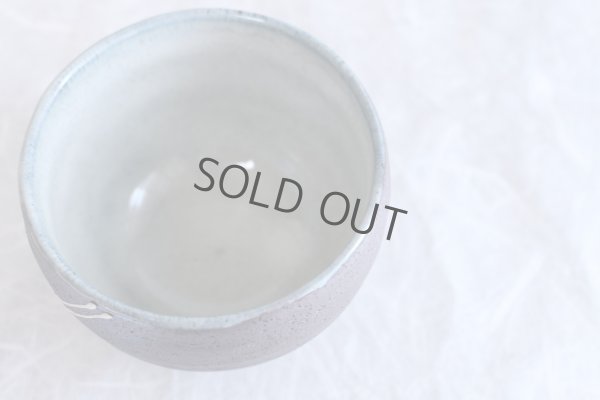 Photo6: Mino ware Japanese pottery matcha chawan tea bowl toga ryusei noten