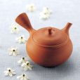 Photo10: Tokoname Japanese tea pot kyusu Shoryu ceramic tea strainear shin syudei 300ml