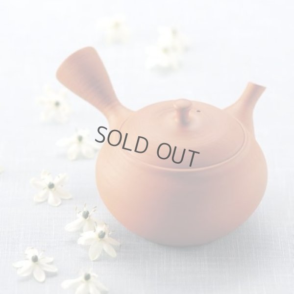 Photo10: Tokoname Japanese tea pot kyusu Shoryu ceramic tea strainear shin syudei 300ml