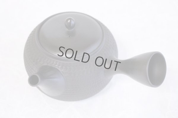 Photo6: Tokoname Japanese tea pot kyusu Gyokko pottery tea strainer black dei ma 300ml