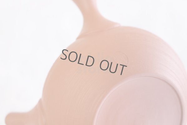 Photo8: Tokoname Japanese tea pot kyusu Shoryu ceramic tea strainear shin syudei 300ml