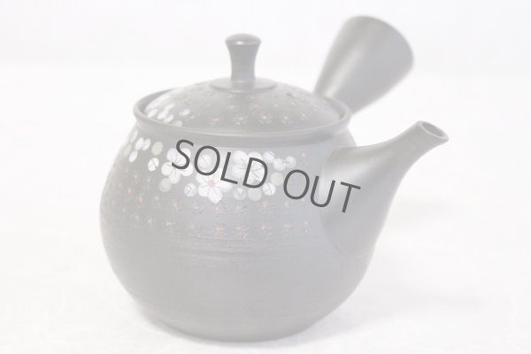 Photo5: Tokoname ware Japanese tea pot kyusu ceramic strainer YT Hokuryu in plum 300ml