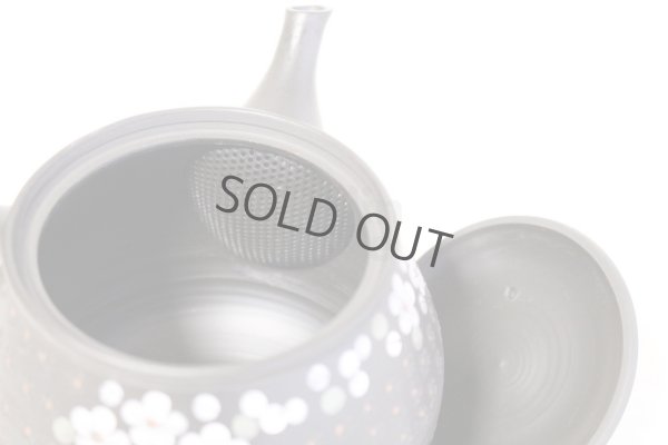 Photo7: Tokoname ware Japanese tea pot kyusu ceramic strainer YT Hokuryu in plum 300ml