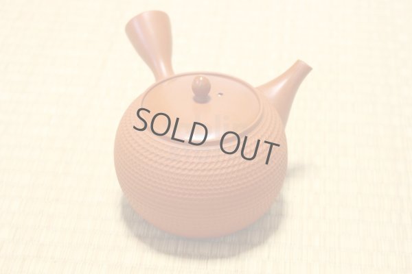 Photo1: Tokoname Japanese tea pot kyusu Gyokko pottery tea strainer shudei red L 500ml