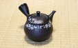 Photo1: Tokoname ware Japanese tea pot kyusu ceramic strainer YT Hokuryu in plum 300ml (1)