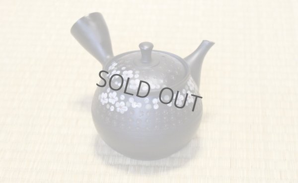 Photo1: Tokoname ware Japanese tea pot kyusu ceramic strainer YT Hokuryu in plum 300ml