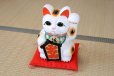 Photo2: Japanese Lucky Cat Tokoname YT Porcelain Maneki Neko ooiri left hand H33cm (2)