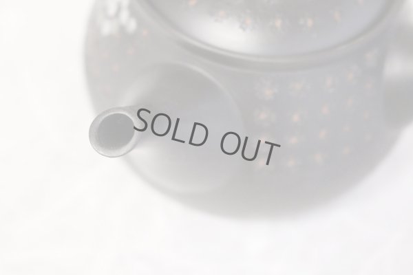 Photo6: Tokoname ware Japanese tea pot kyusu ceramic strainer YT Hokuryu in plum 300ml